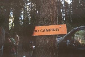 Mullet Wig Adorns the 'No Camping' Sign